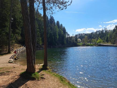 Tuvākā izklaides vieta, Casa Solandra in Romeno