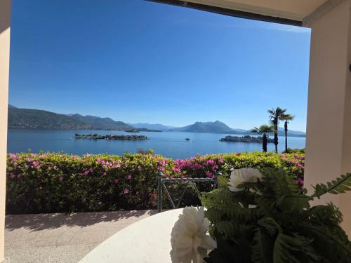 Queen Apartment - Stunning Panoramic Island View