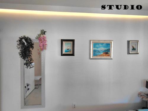 Sunshower apartment and studio 5