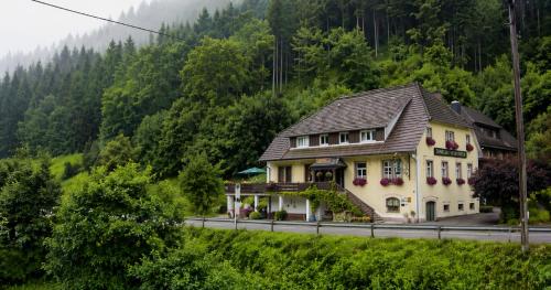 BaB Hotels and Apartments-Zum Letzten G'Stehr in Bad Rippoldsau-Schapbach, Deutschland