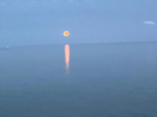 Hotel Havenzicht Texel in Oudeschild