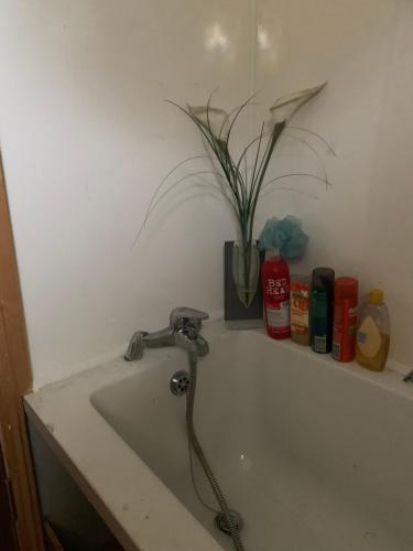 Stickens Apartment in Sallins