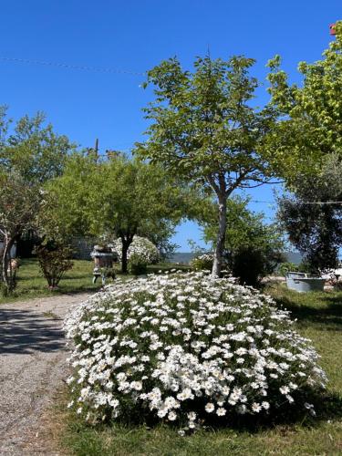  La Collina in una Stanza - Atessa in Atessa