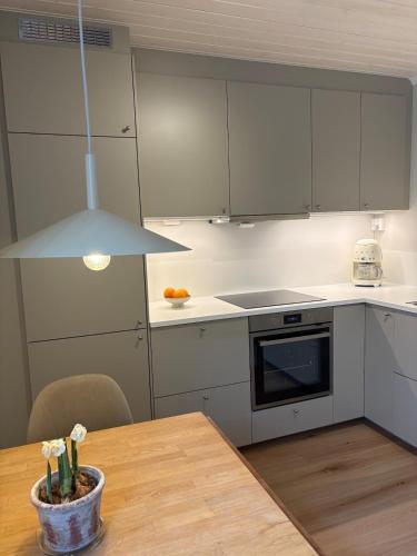 Apartment in beautiful surroundings close to the Zoo in Dvergsnes