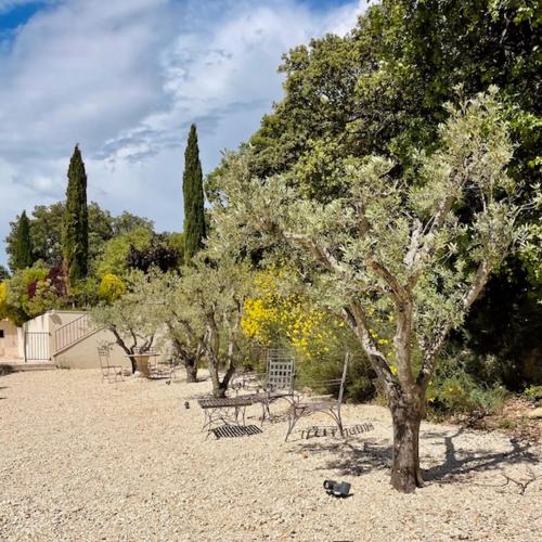 GITE Dentelles MATHIFLO in Suzette