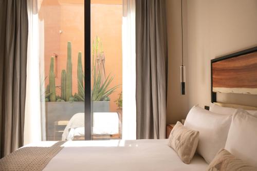 Macondo Arte Oaxaca Room Type - Deluxe Suite