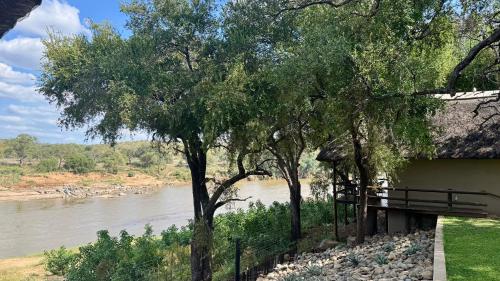 Nyati Safari Lodge