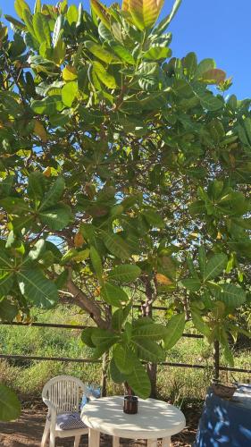 Kert, Rancho Coqueiros#Amor e Paz in Buritama