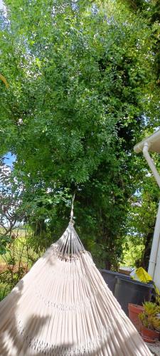 Green cabin in our small garden in อาร์รูดา โดส วีโญส
