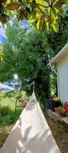 Green cabin in our small garden in อาร์รูดา โดส วีโญส