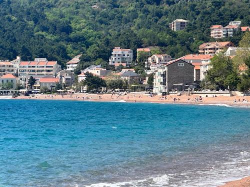 Simple Comfort Apartment in Petrovac