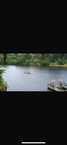 Amazon Whisper in Manacapuru