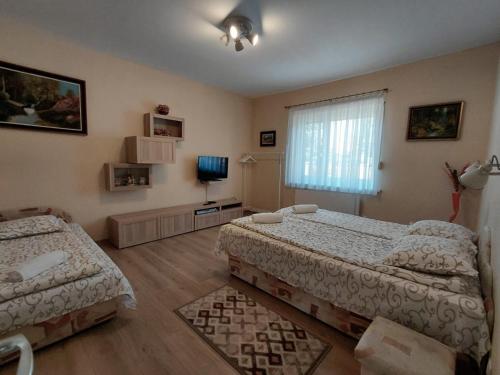 Rozalia Apartman in Ujvaros