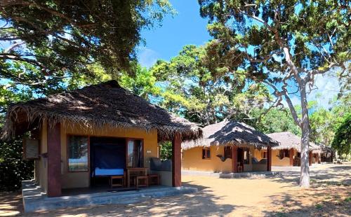 Happy Hippy Beach Cabanas Peanut Farm in Panama