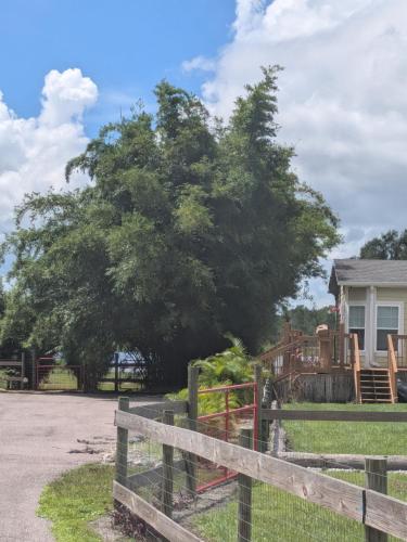 Private Waterfront Cottage with pool on 5 Acres Lakewood Ranch Area in Myakka FL