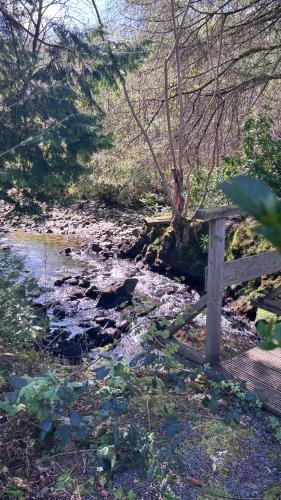 Whisperwood in Carrick