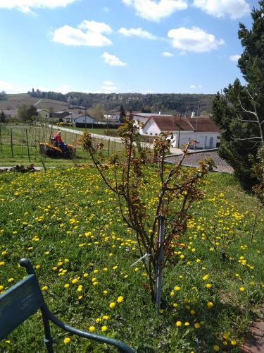 Haus Orleander in Gerersdorfa pie Gusingas