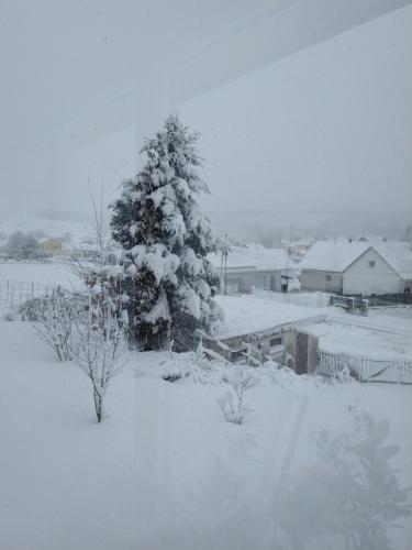 Haus Orleander in Gerersdorfa pie Gusingas