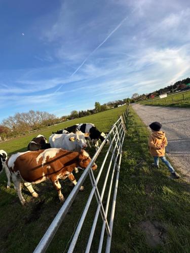 Auszeit nahe Freizeitpark in Grethem