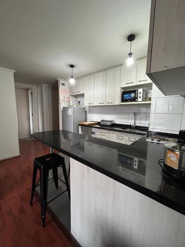 Metro Camino Agricola Apartment