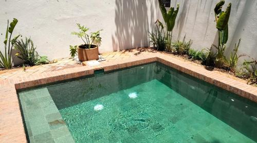 Piscina, Hospedarte Central Hotel in Guadalajara