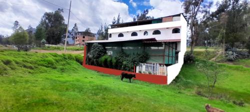 Hostal Selena