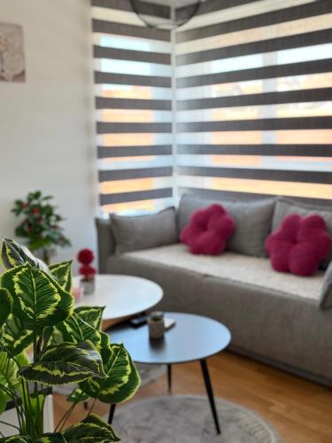 Jefimija Apartman Sokobanja