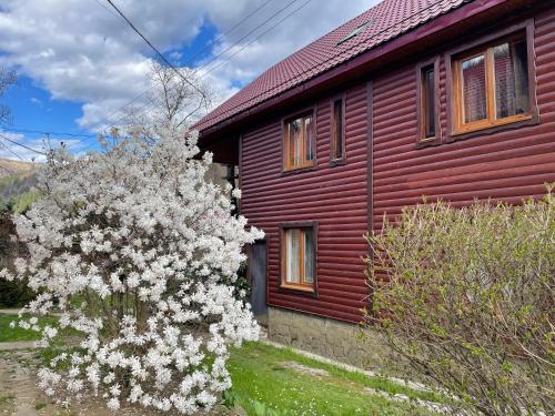 Guest house Nad Tisou