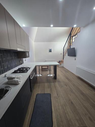 Palguin pad loft # 1