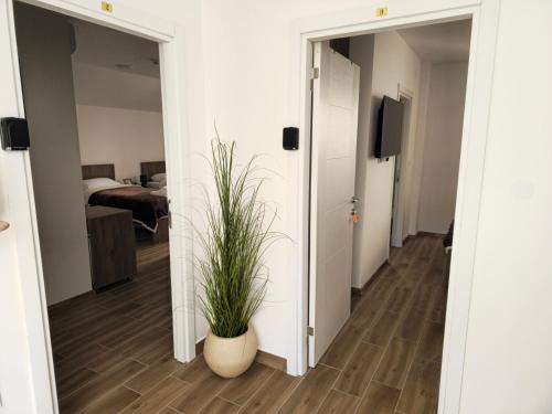 Lobi, Apartmani PASHA in Niksic