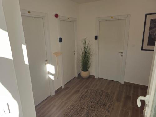 Lobi, Apartmani PASHA in Niksic