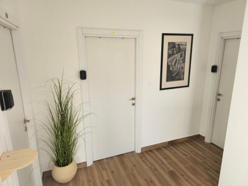 Lobi, Apartmani PASHA in Niksic