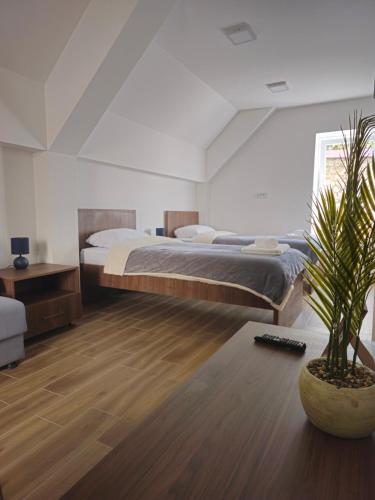Apartmani PASHA in Niksic