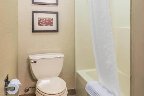 Comfort Inn Lancaster County - image 38