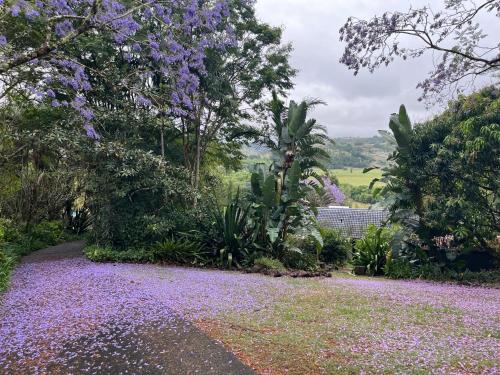 Bexhill Grace – khách sạn tại Clunes (NSW)