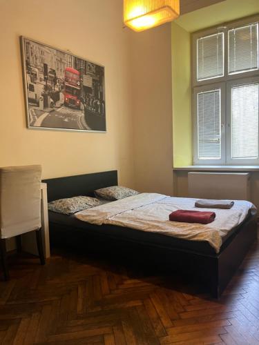 Lilia, Cracovia