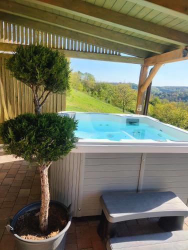 Swimming pool, KICIKLA Fire & Wine in Ujudvar