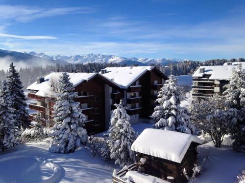 Hotel La Prairie - image 12