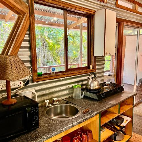 Yellowwood Forest Eco Retreat in Morganʼs Bay