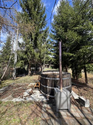 Karstais baseins, Mountain Cabin Retreat - Terrace, BBQ, Hot Tub in Lunca Bradului