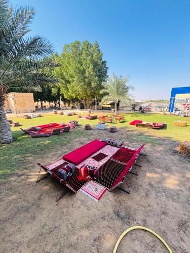Desert Safari in Murquab