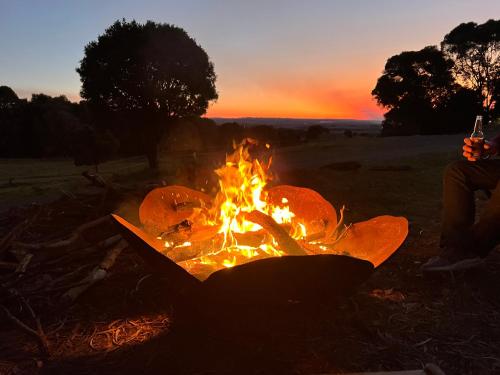 Chesterfield Farm Stay - Private Room in Murgon