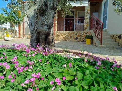 Grandmas Cottage in Avdhira