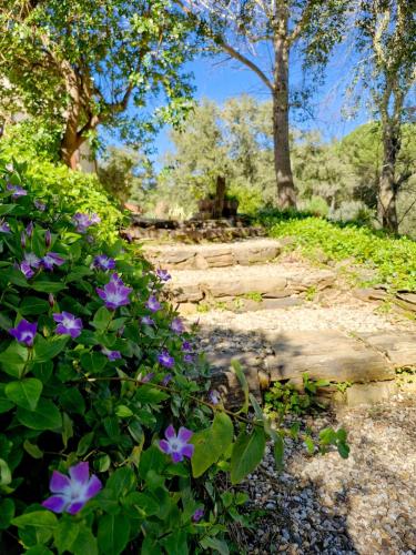 Charming Apartment in the Heart of Nature in Santa Luzia