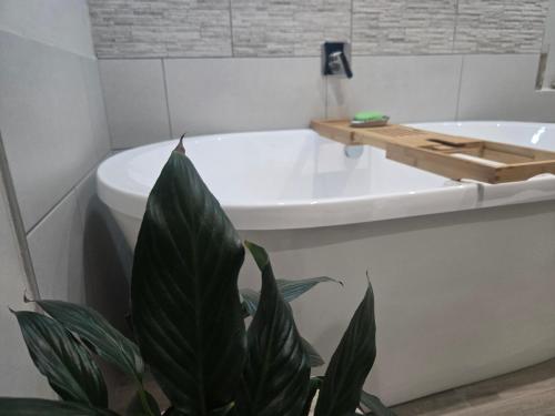 Furnished room in Heidelberg in Heidelbergas