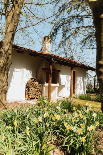 Villa Codetta in Torre di Mosto