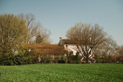 Kert, Villa Codetta in Torre di Mosto