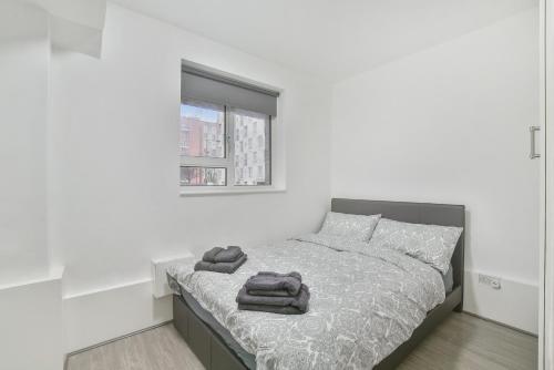 London Euston 2 Bedrooms Apartment, Londýn (fotografie 10)