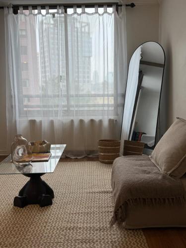 Cozy apartment in the middle of Santiago