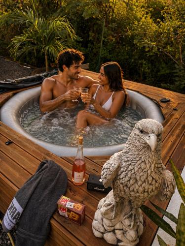 Villa 4 Chambres Piscine Jacuzzi 10 Voyageurs in Haut de la Montagne